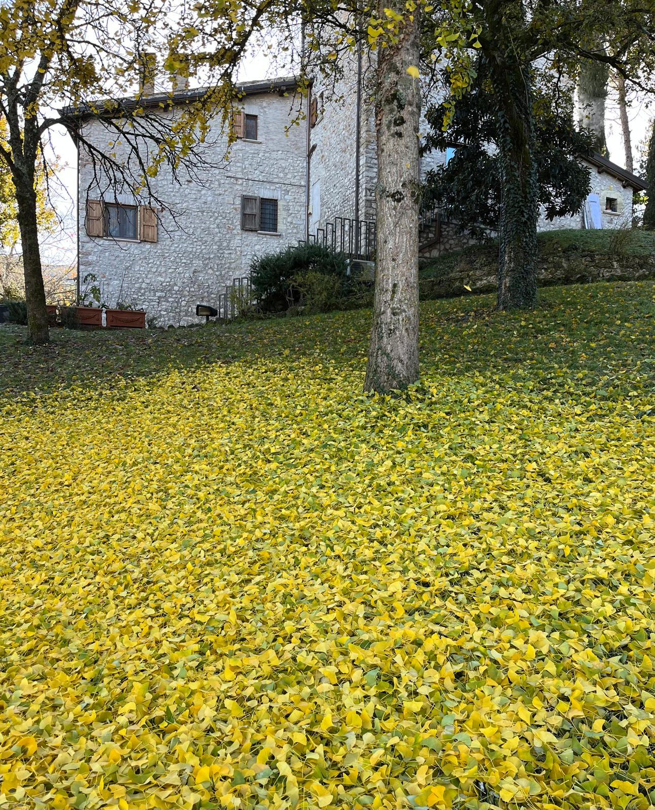 Scenic autumn view from the picnic area at Adagio Umbro, surrounded by golden foliage and the rolling hills of Umbria.