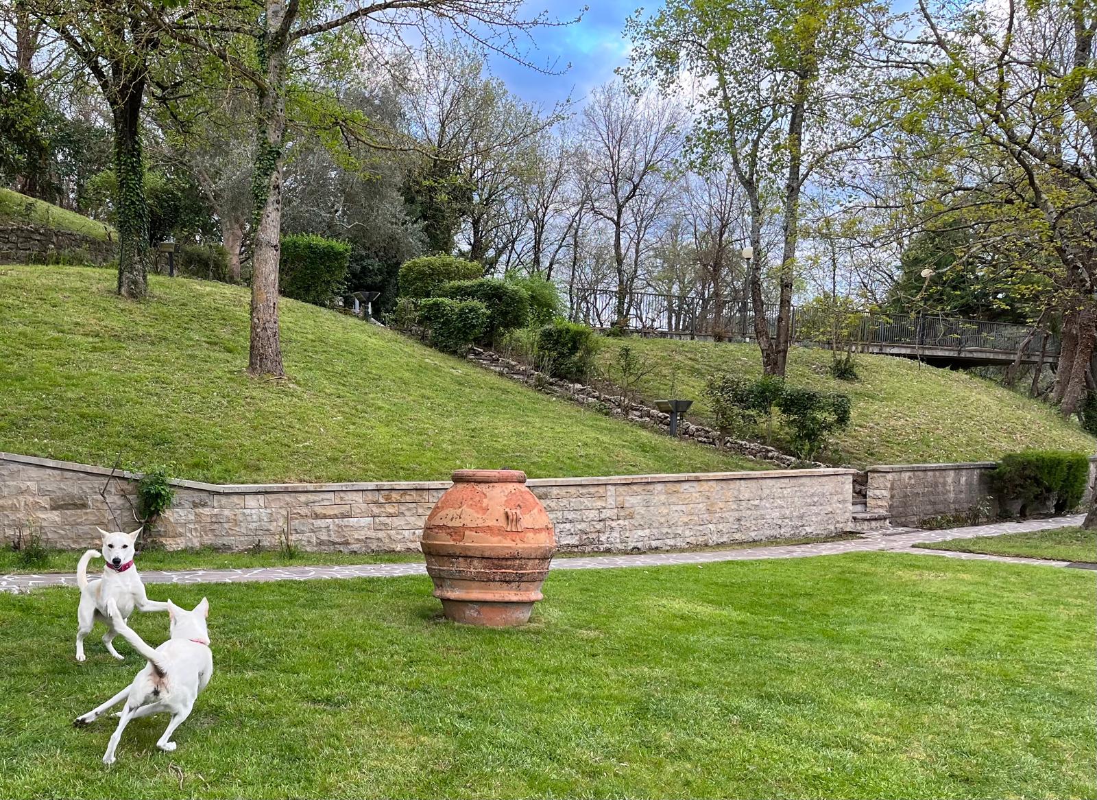 Tranquil picnic area at Adagio Umbro in early spring, surrounded by blooming greenery and fresh countryside views in Umbria, Italy.