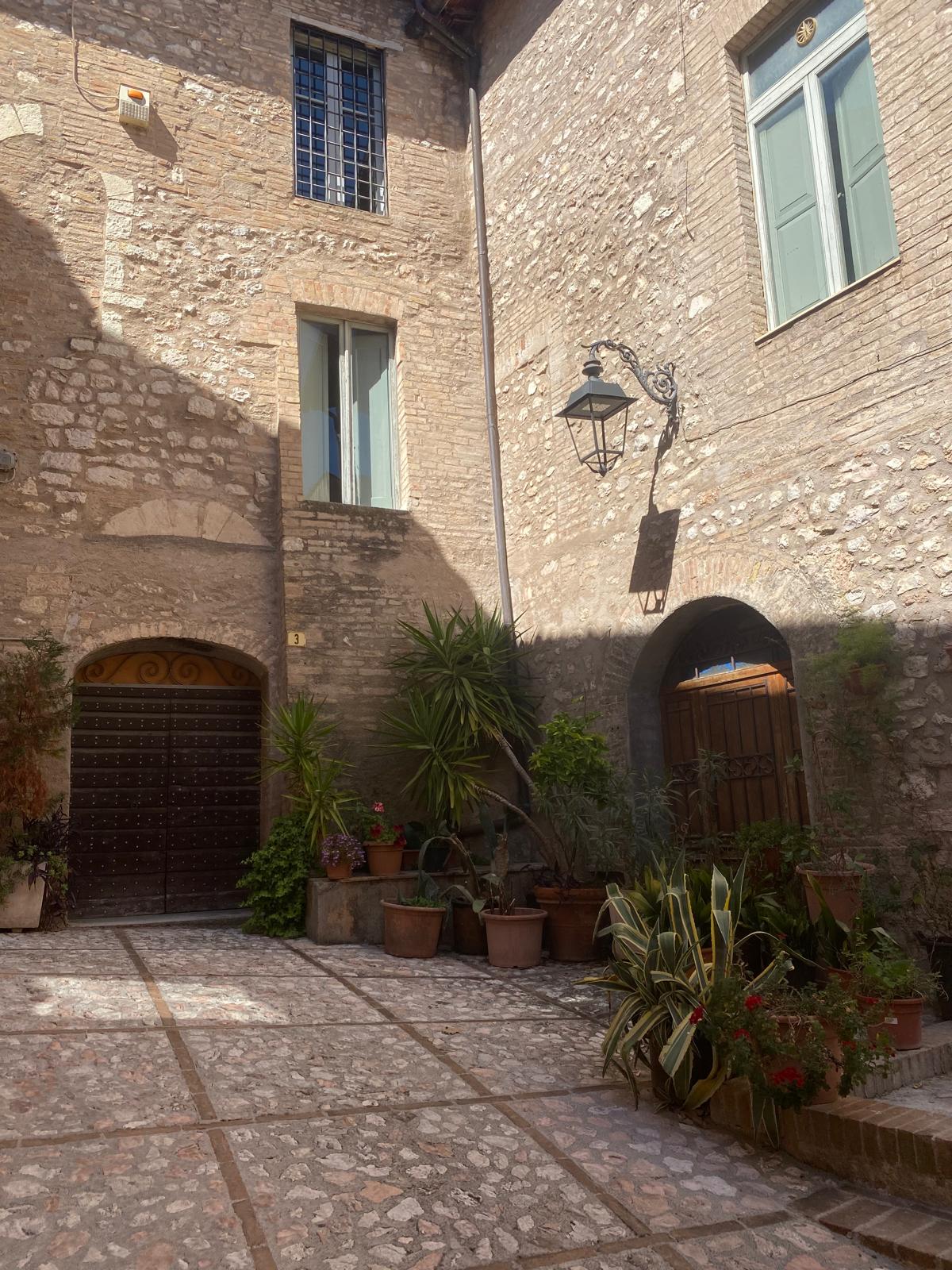 Small residential courtyard in Trevi decorated with green pots and plants