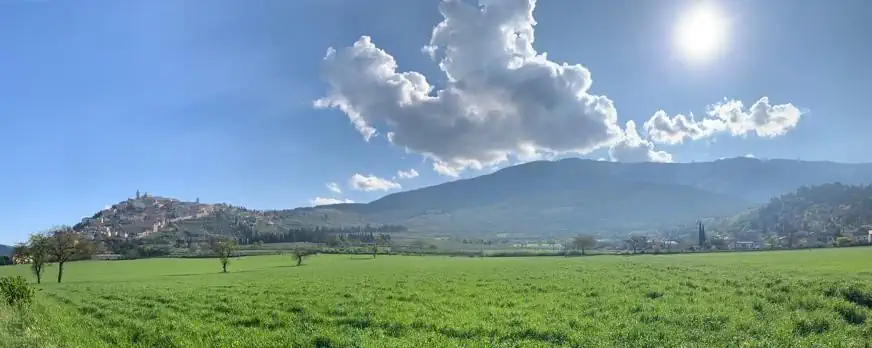 Trevi in Umbria surrounded by olive groves