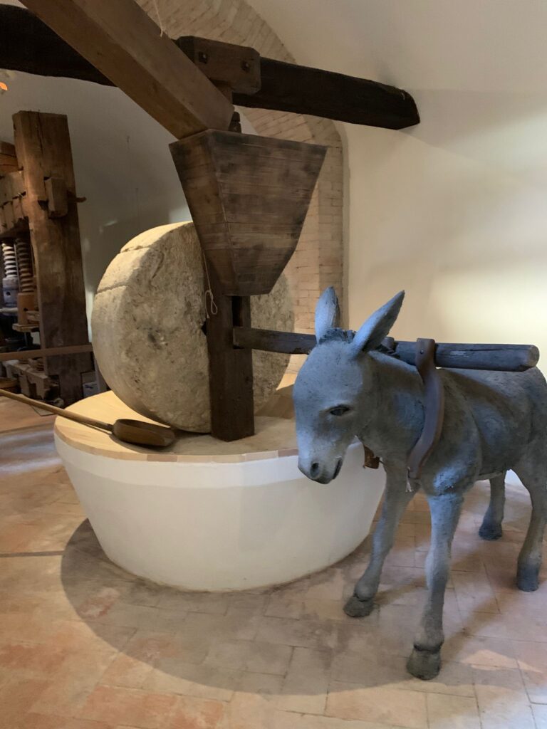 Exhibit at the Olive Oil Museum in Trevi, Umbria, showing a donkey turning a stone mill used for medieval olive oil production