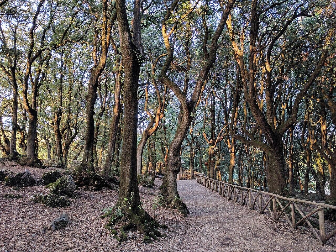 Slow cultural travel in Umbria with historic towns, landscapes and Franciscan heritage